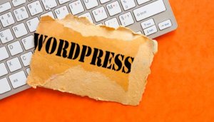 Wordpress - jak zrychlit web